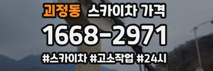 괴정동 스카이차 가격