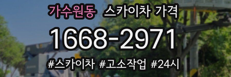 가수원동 스카이차 가격