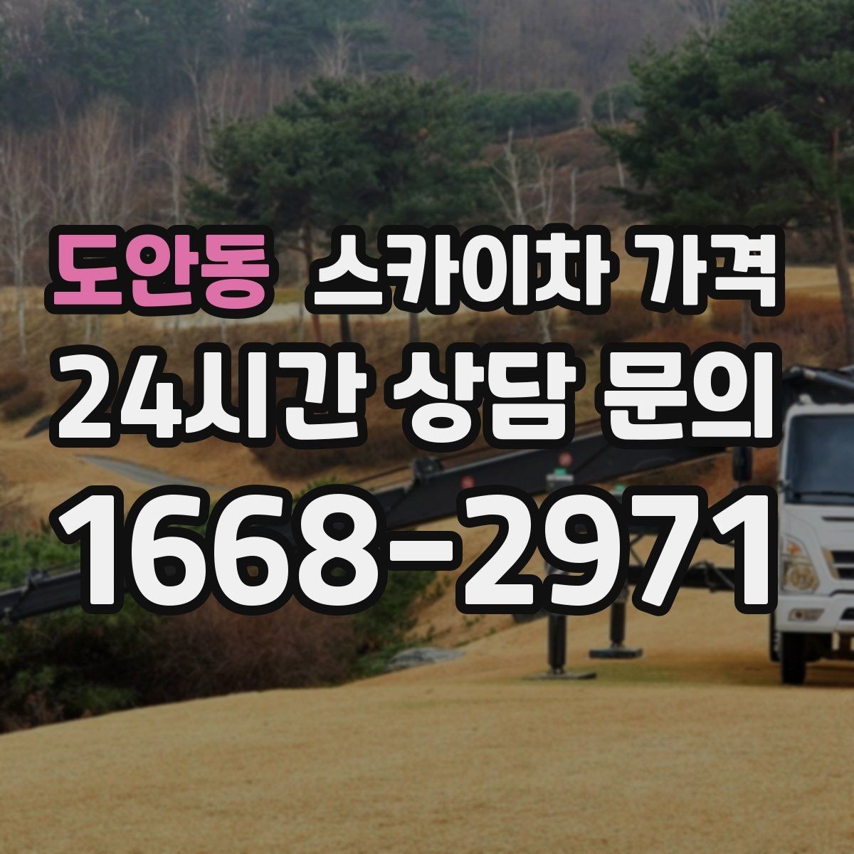 도안동 스카이차 가격 예약 호출이 필요한 현장 유형