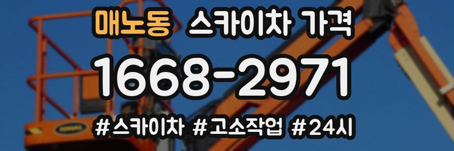 매노동 스카이차 가격