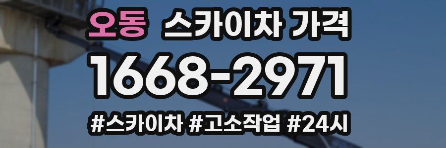 오동 스카이차 가격