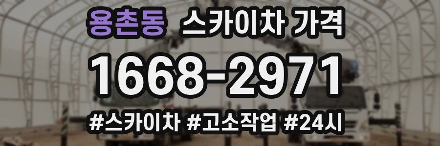 용촌동 스카이차 가격