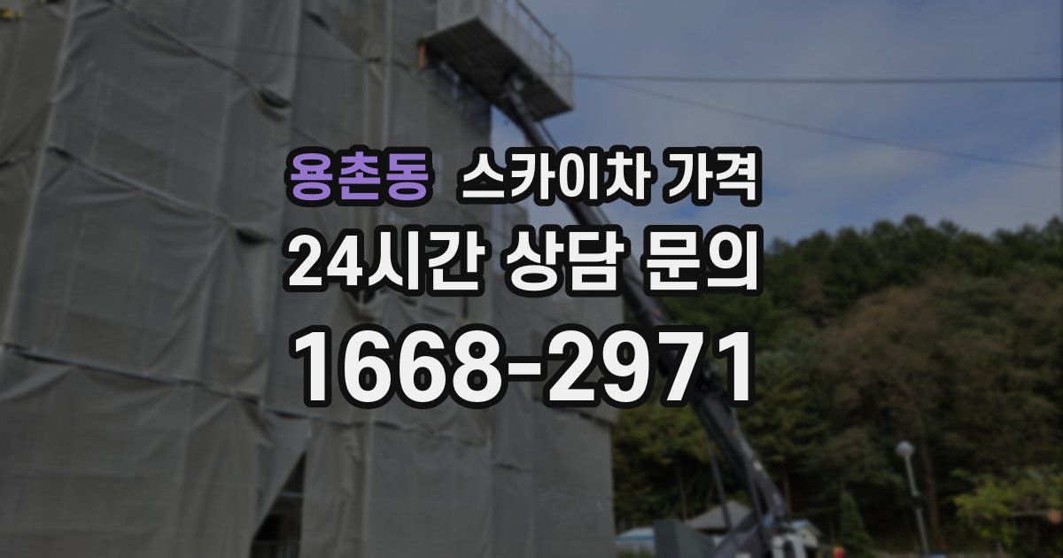 용촌동 스카이차 가격