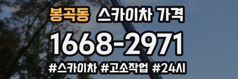 봉곡동 스카이차 가격