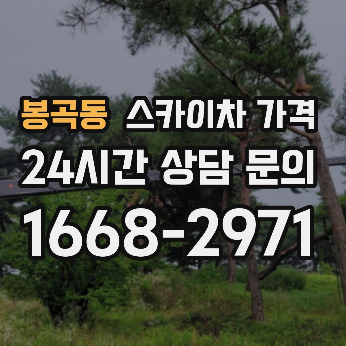 봉곡동 스카이차 가격