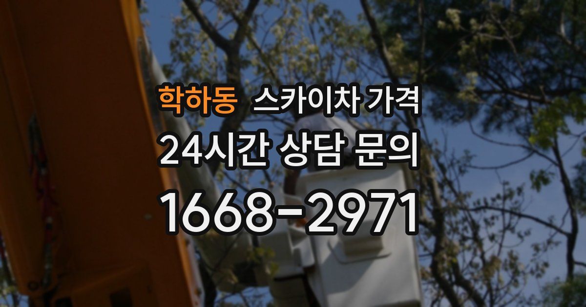 학하동 스카이차 가격