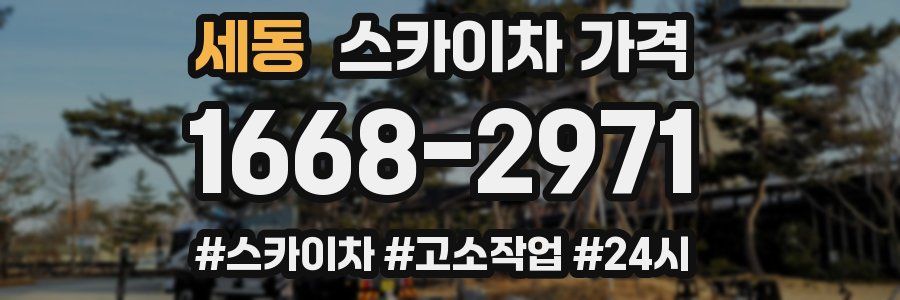 세동 스카이차 가격