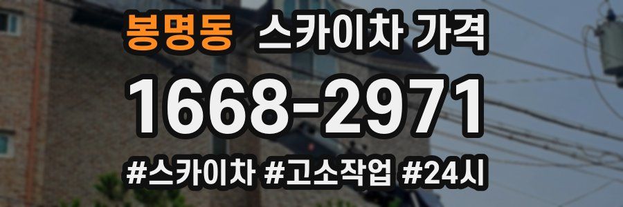 봉명동 스카이차 가격