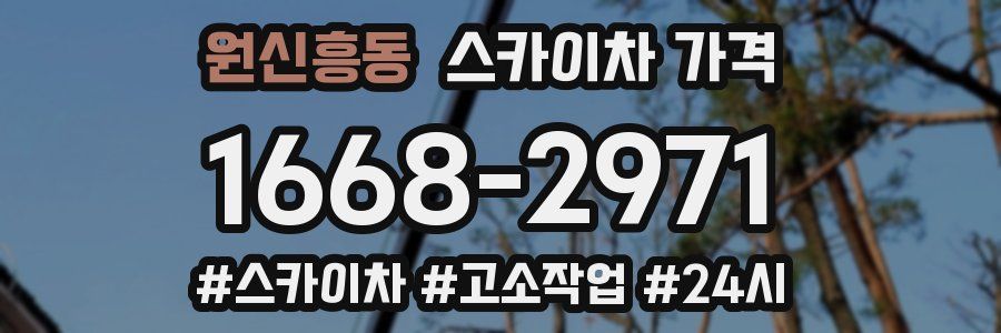 원신흥동 스카이차 가격