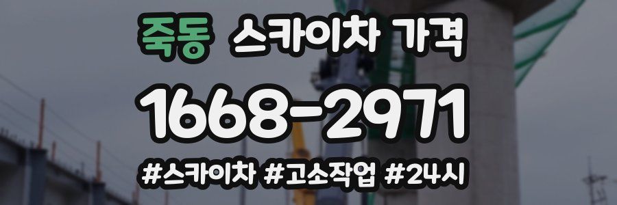 죽동 스카이차 가격