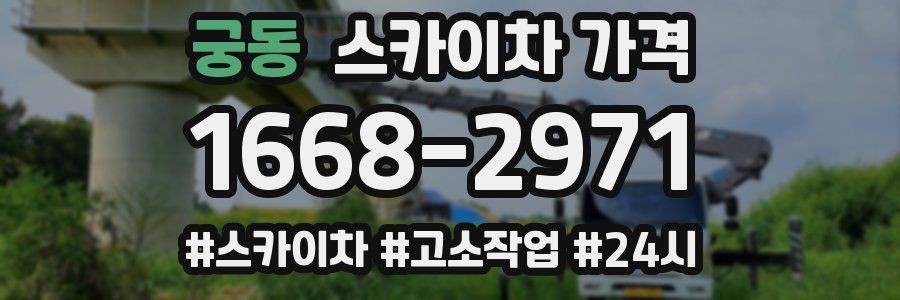 궁동 스카이차 가격