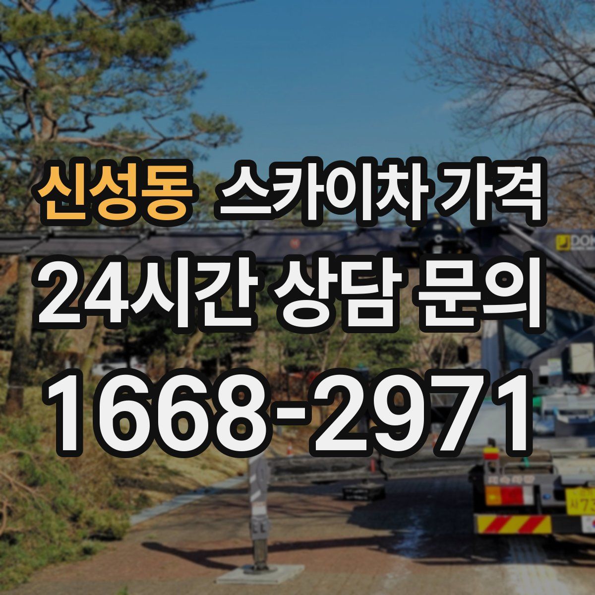 신성동 스카이차 가격