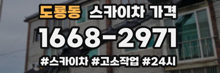 도룡동 스카이차 가격