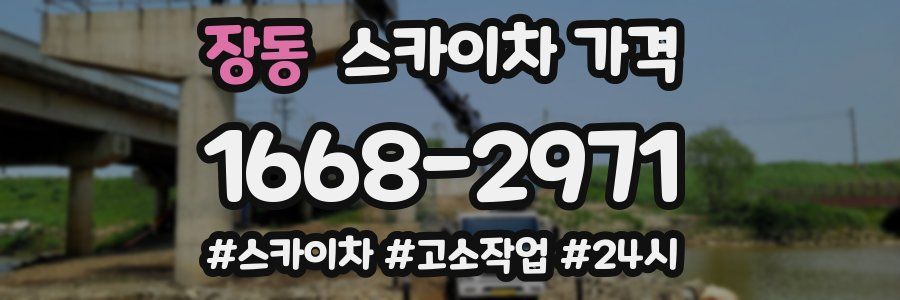 장동 스카이차 가격