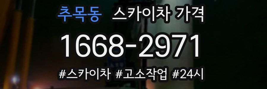 추목동 스카이차 가격