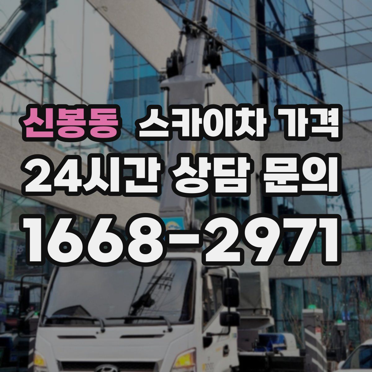 신봉동 스카이차 가격