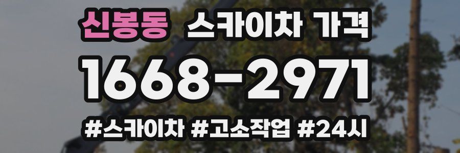 신봉동 스카이차 가격