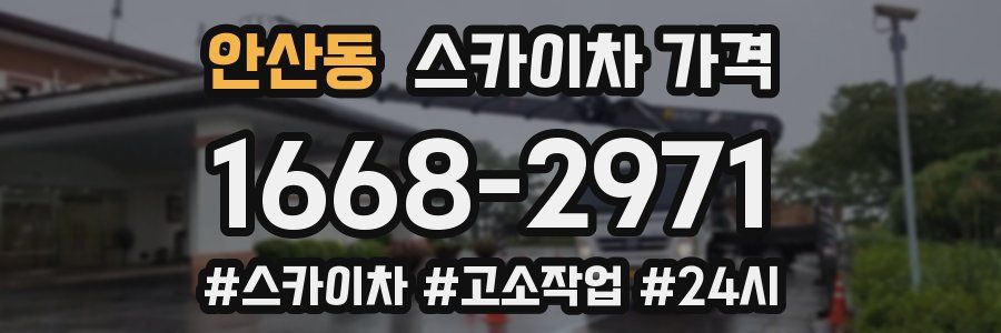 안산동 스카이차 가격