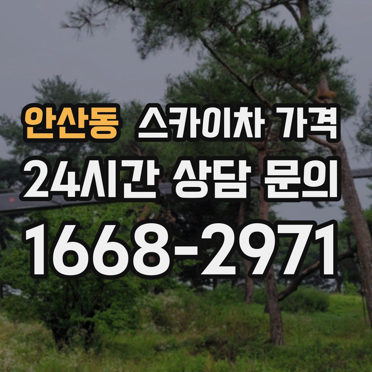 안산동 스카이차 가격