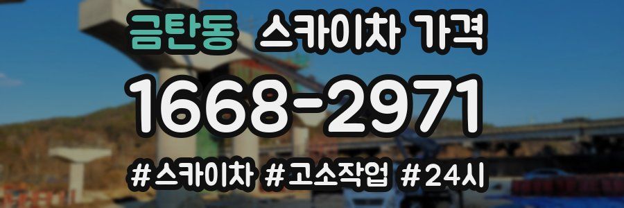 금탄동 스카이차 가격