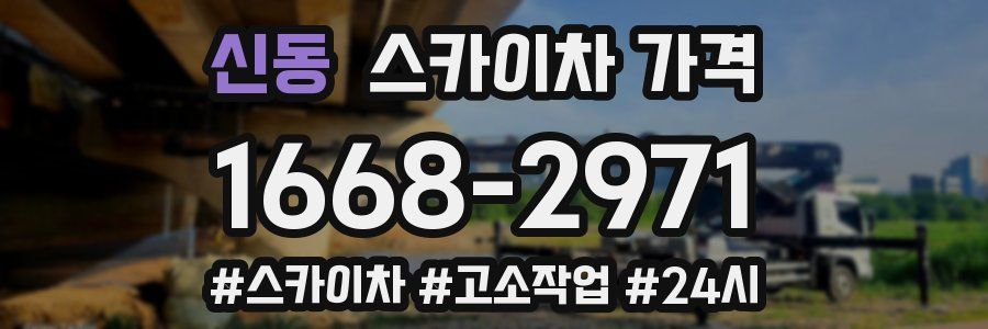 신동 스카이차 가격