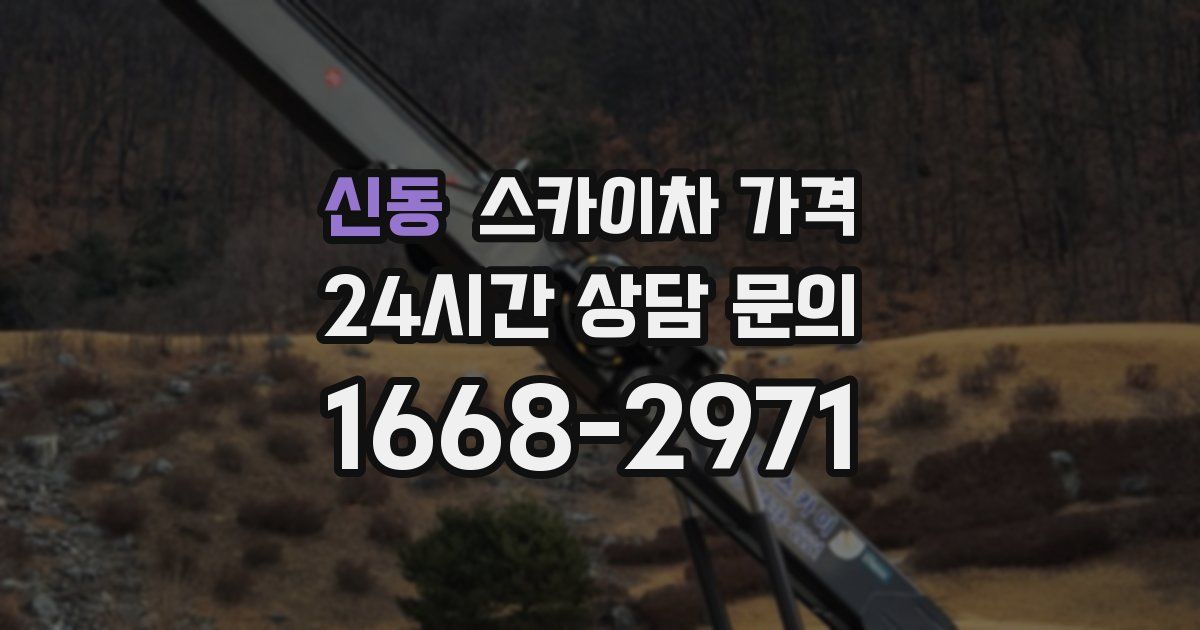 신동 스카이차 가격