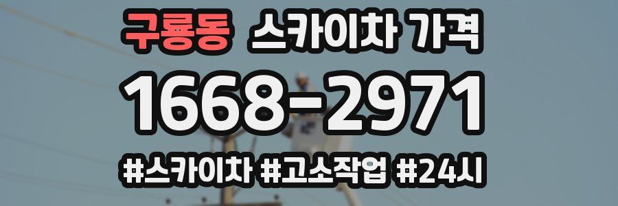 구룡동 스카이차 가격