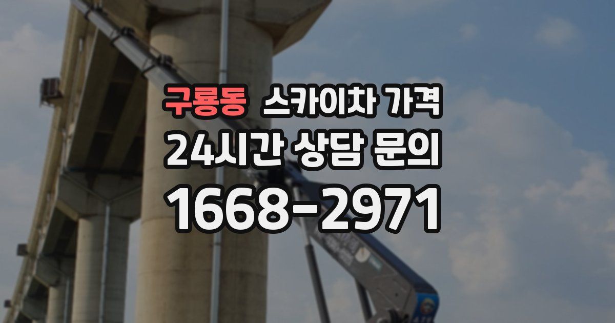 구룡동 스카이차 가격