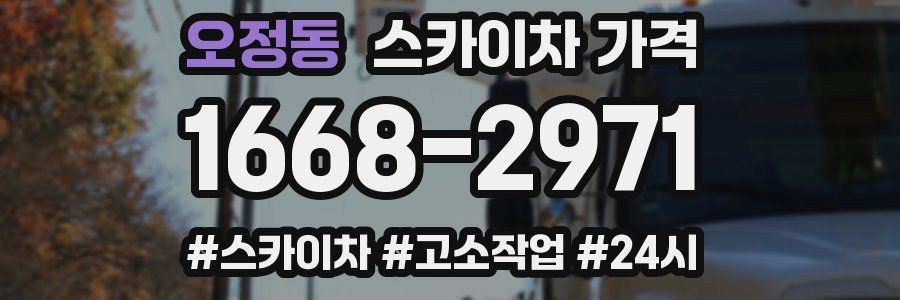 오정동 스카이차 가격