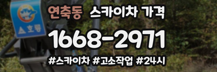 연축동 스카이차 가격