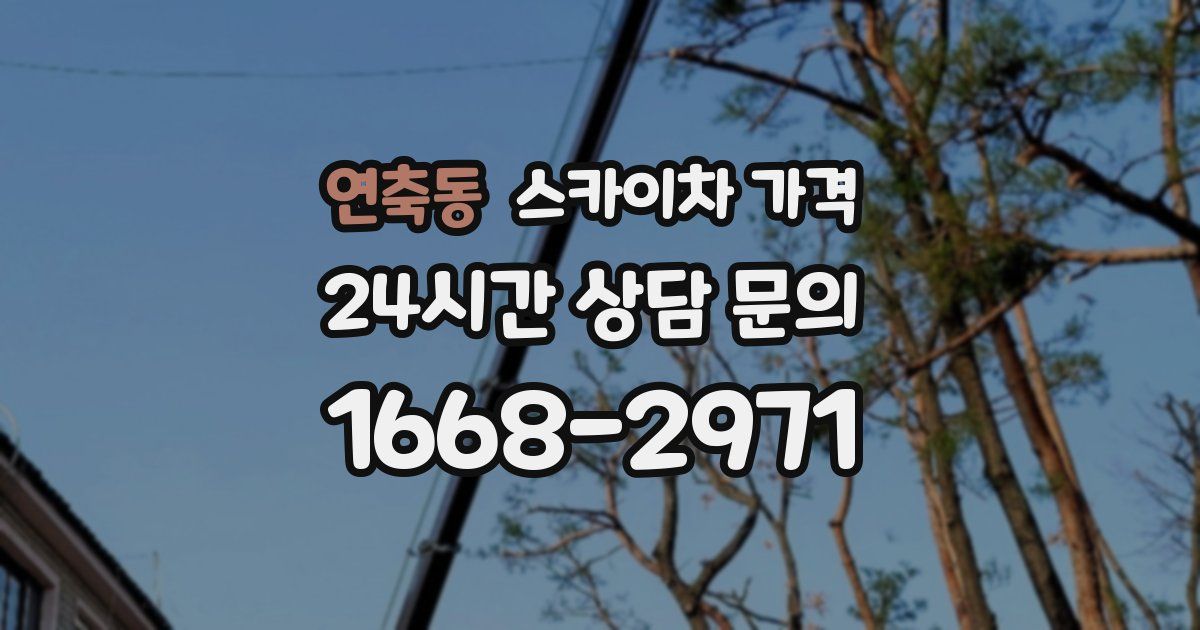 연축동 스카이차 가격