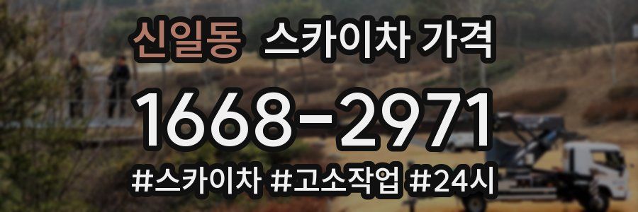 신일동 스카이차 가격