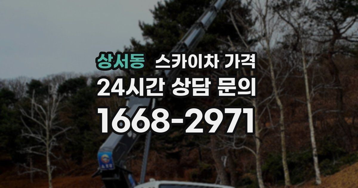 상서동 스카이차 가격