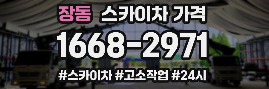장동 스카이차 가격