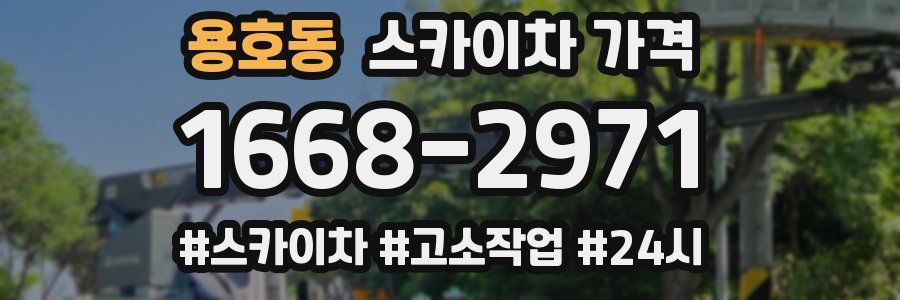 용호동 스카이차 가격