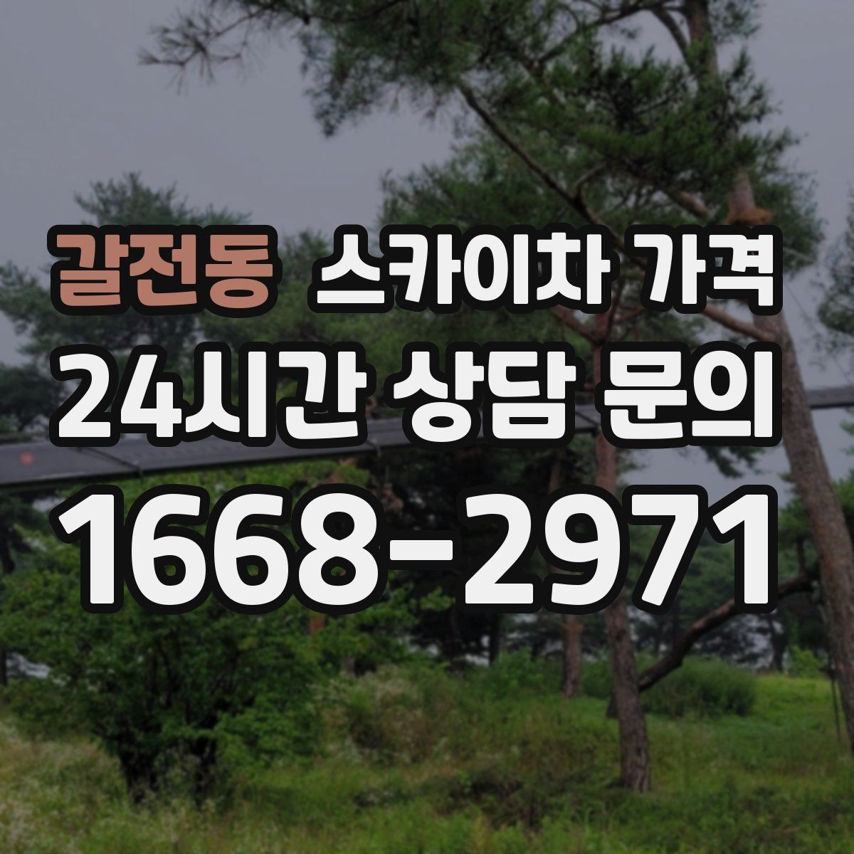 갈전동 스카이차 가격