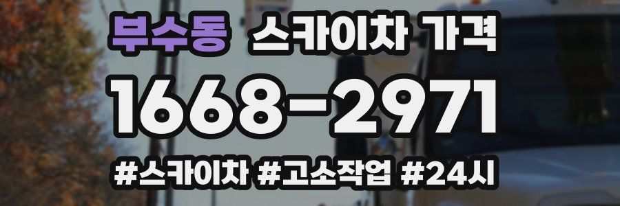 부수동 스카이차 가격