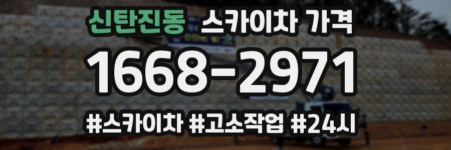 신탄진동 스카이차 가격