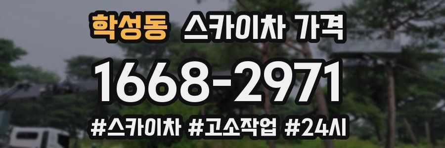 학성동 스카이차 가격