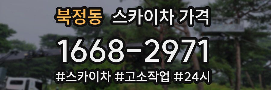 북정동 스카이차 가격