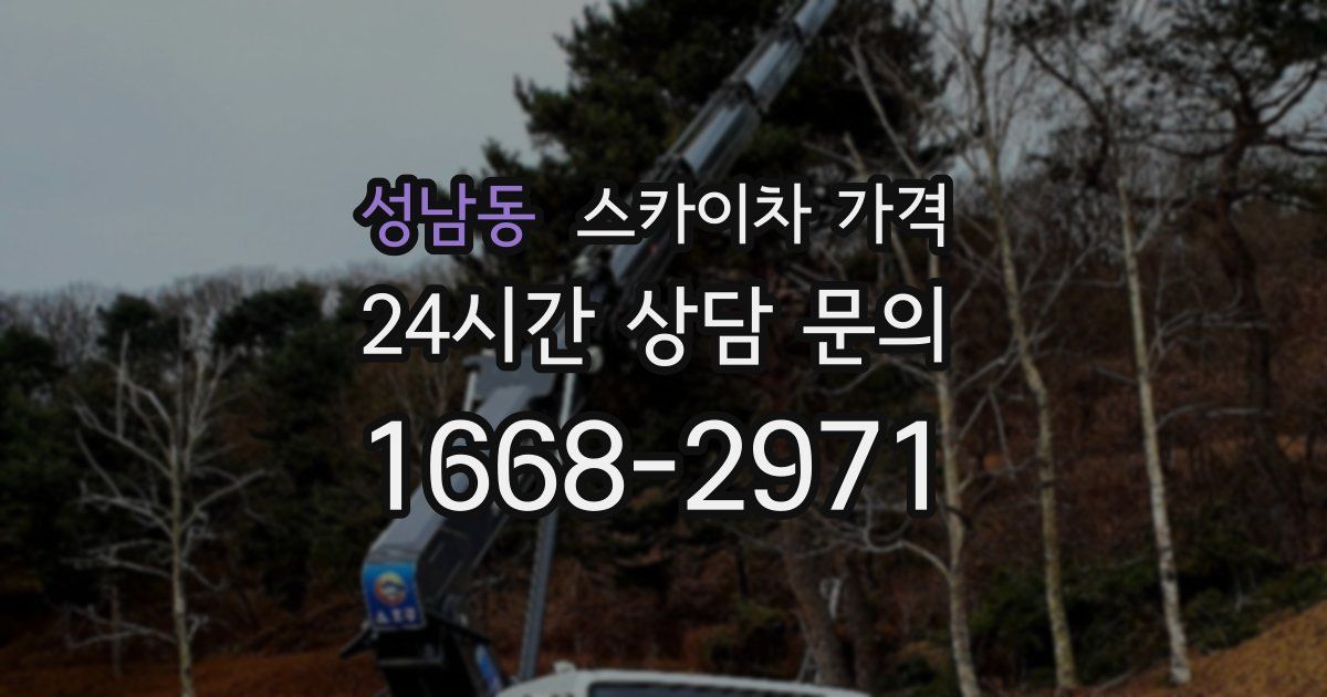 성남동 스카이차 가격