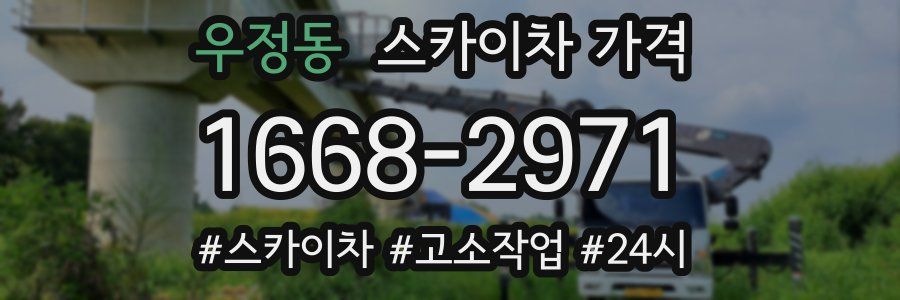 우정동 스카이차 가격