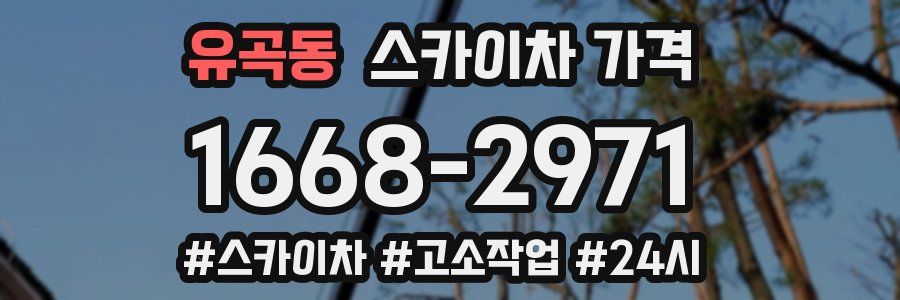 유곡동 스카이차 가격