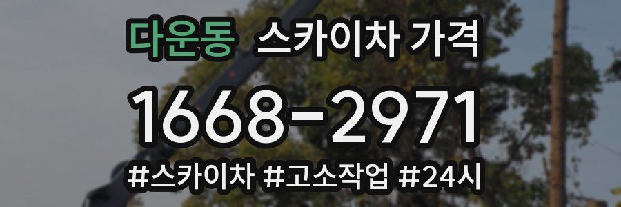 다운동 스카이차 가격