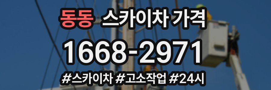 동동 스카이차 가격