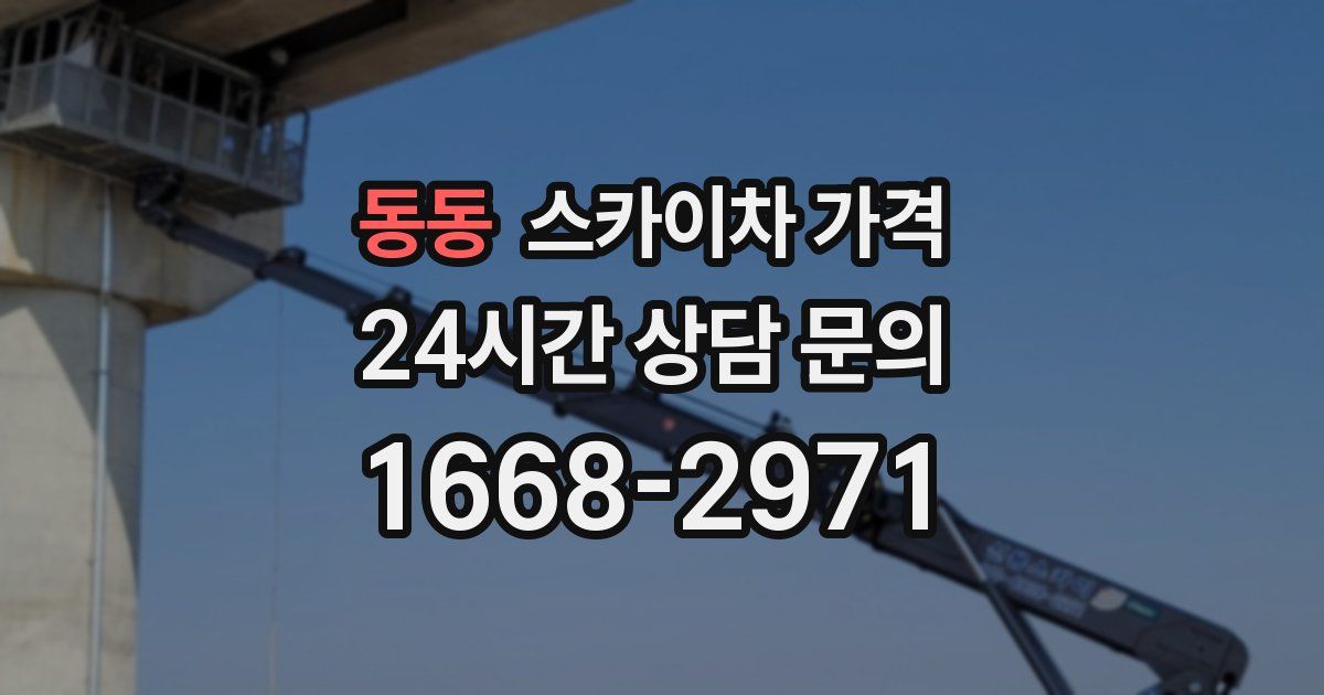 동동 스카이차 가격