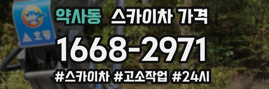 약사동 스카이차 가격