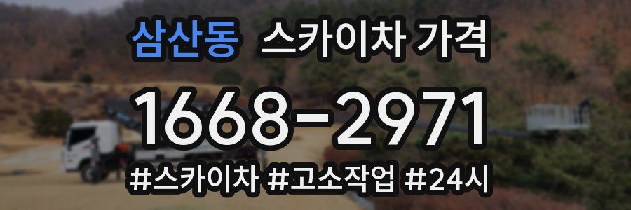 삼산동 스카이차 가격