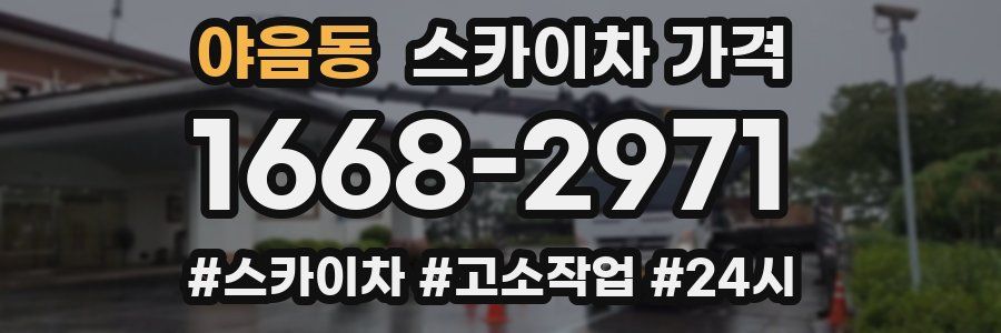 야음동 스카이차 가격