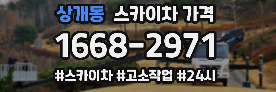 상개동 스카이차 가격